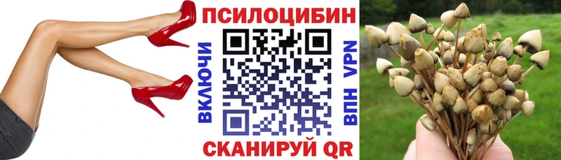 Купить где  Окуловка  Псилоцибиновые грибы мухоморы 